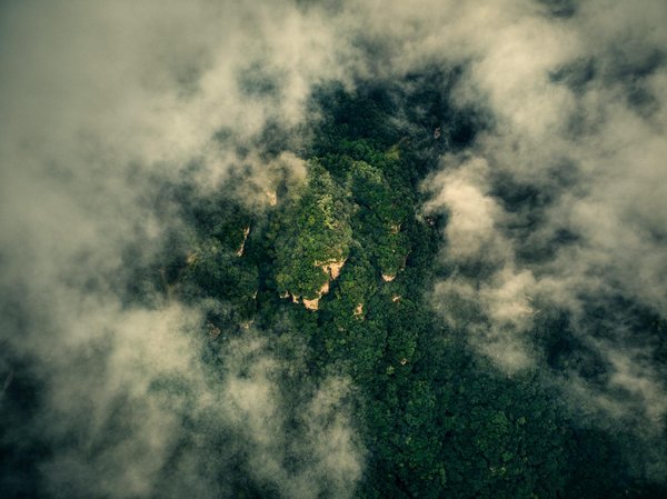 L'impact révolutionnaire du féminisme sur la société moderne